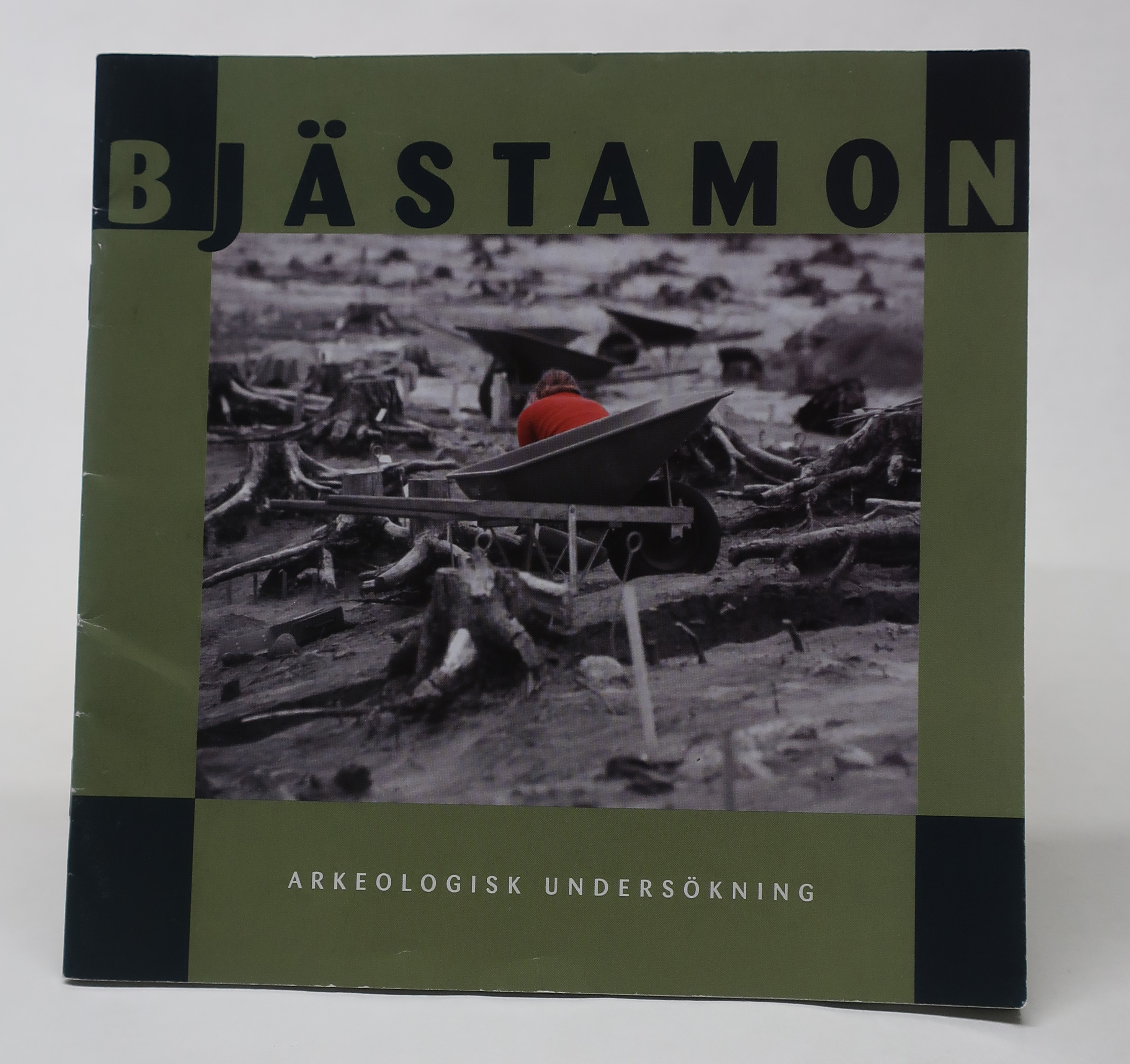 Bjästamon bok